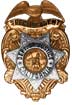 Special Agent Badge