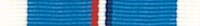 Career Intelligence Medal Ribbon