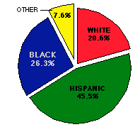 race of arrestee chart