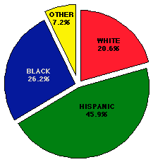 race of victim chart