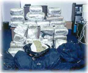 Marijuana Seizure