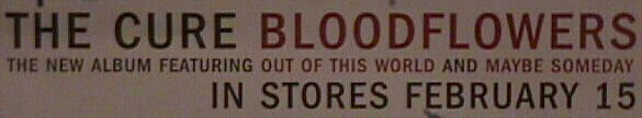 Close-up of text on promo poster for Bloodflowers